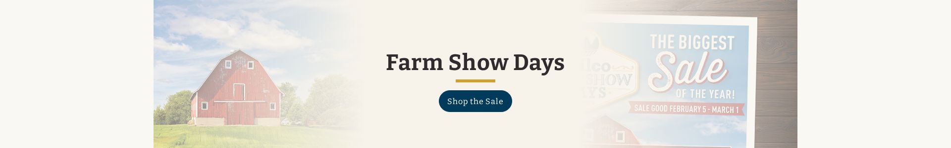 Simplify Mega Menu Categories with Visual Hierarchy