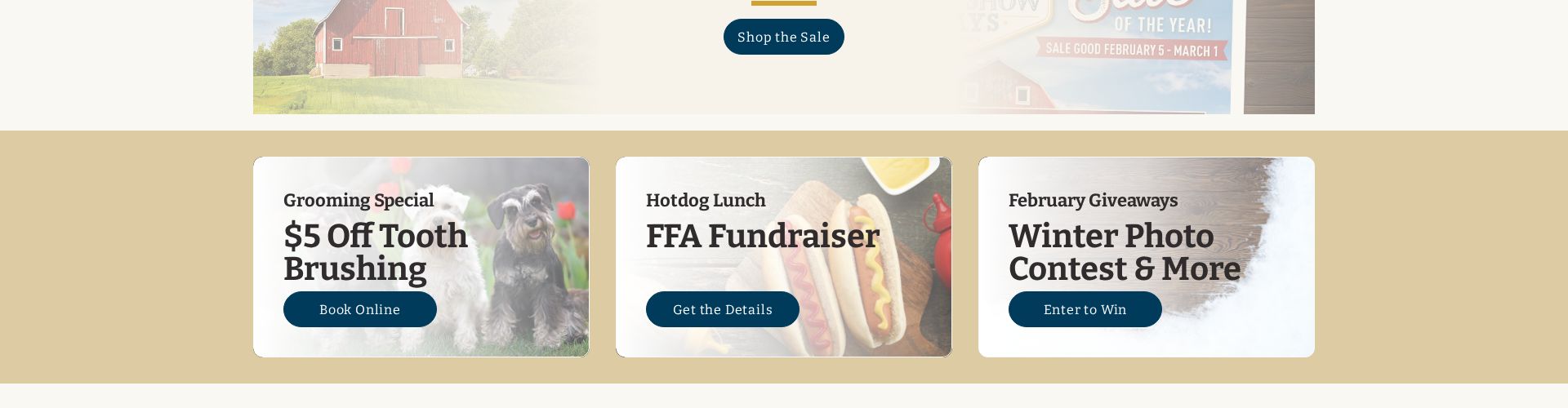 Consolidate Promotional Content into Priority-Based Layout