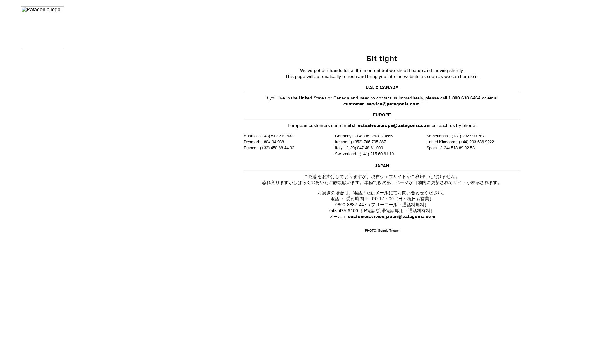 Patagonia website screenshot